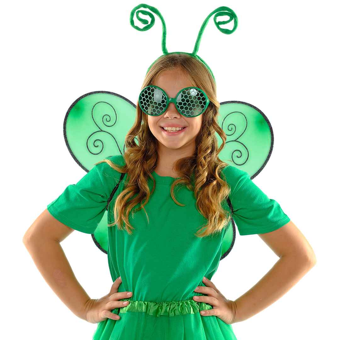 green lacewing inspired costume, green lacewing wings as costume accessories, green lacewing themed party favors