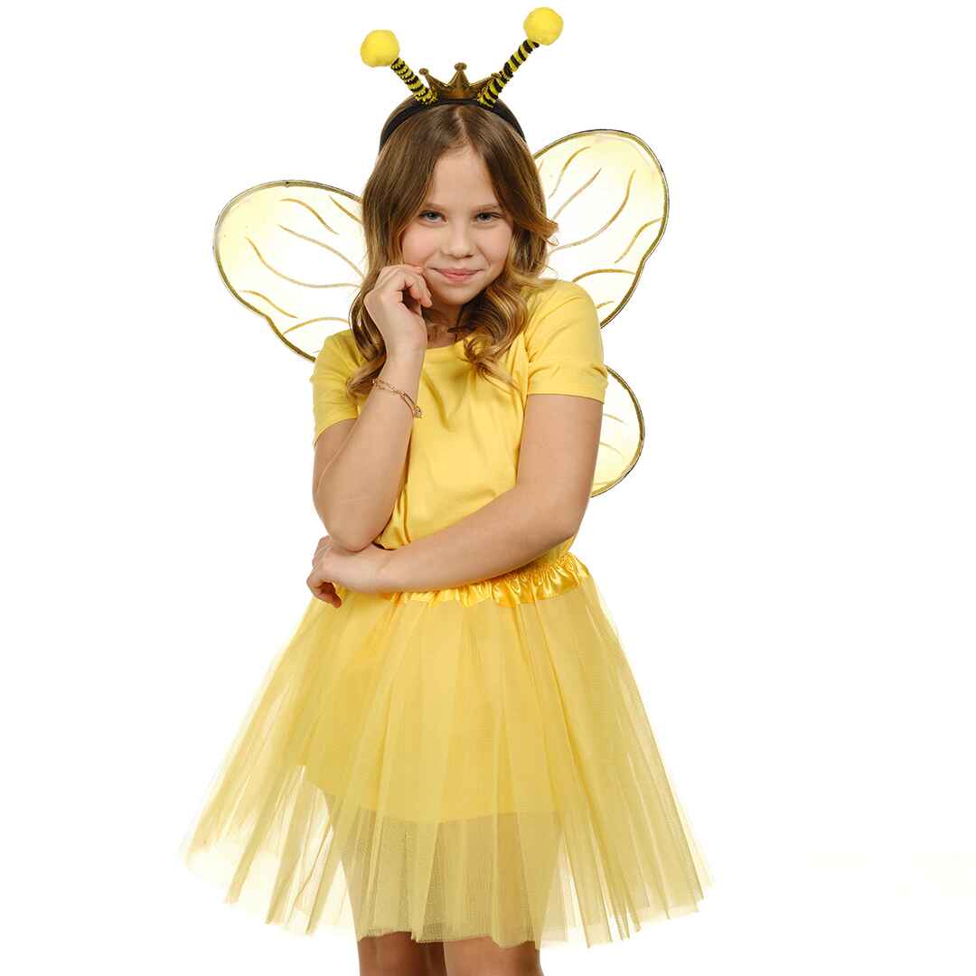 Bee Costume Accessories for Women - Bee Wings, Antenna and Glasses